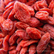 2018 NOUVEAU GOJI BERRY CERTIFIÉ BIO CHINOIS